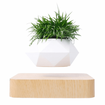 Levitating Bonsai Flower Pot Rotation