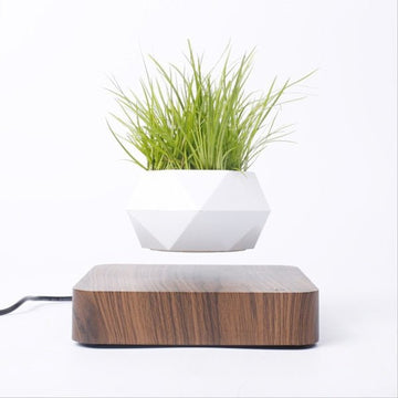Levitating Bonsai Flower Pot Rotation Walnut Base and White Planter Pot