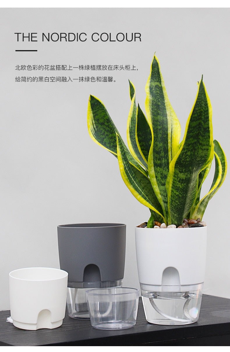 Self Watering Planter