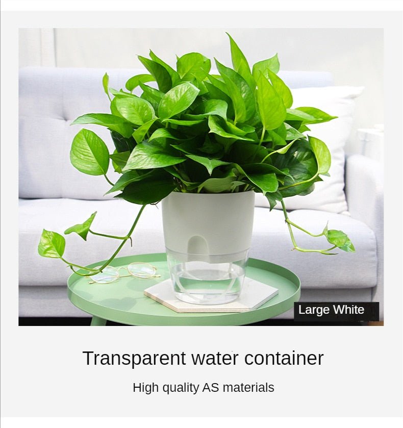 Self Watering Planter