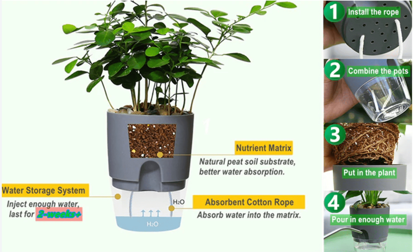 Self Watering Planter