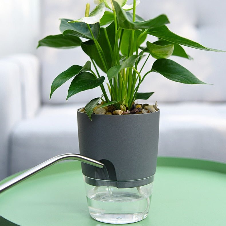 Self Watering Planter