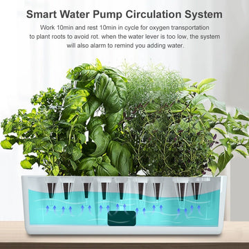 Indoor Garden Hydroponics Smart Growing System