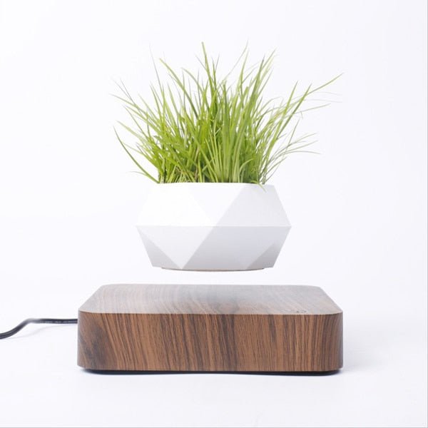 Levitating Bonsai Flower Pot Rotation Walnut Base and White Planter Pot