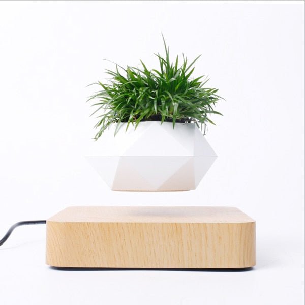 Levitating Bonsai Flower Pot Rotation Light Wood Base and White Planter Pot
