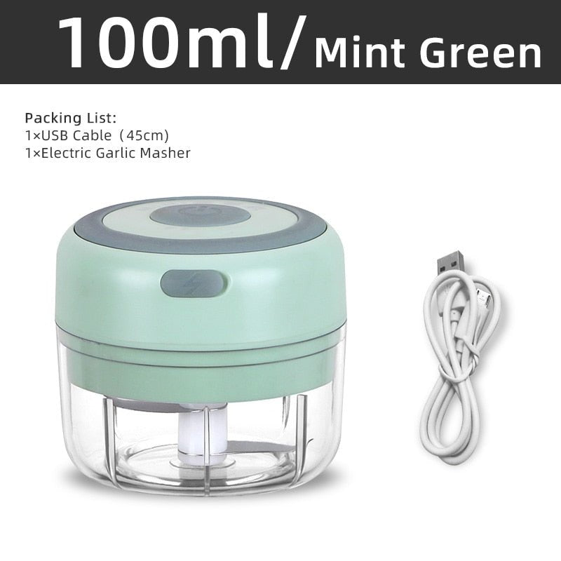 Mini Electric Garlic and Vegetable Chopper 100ml Mint Green