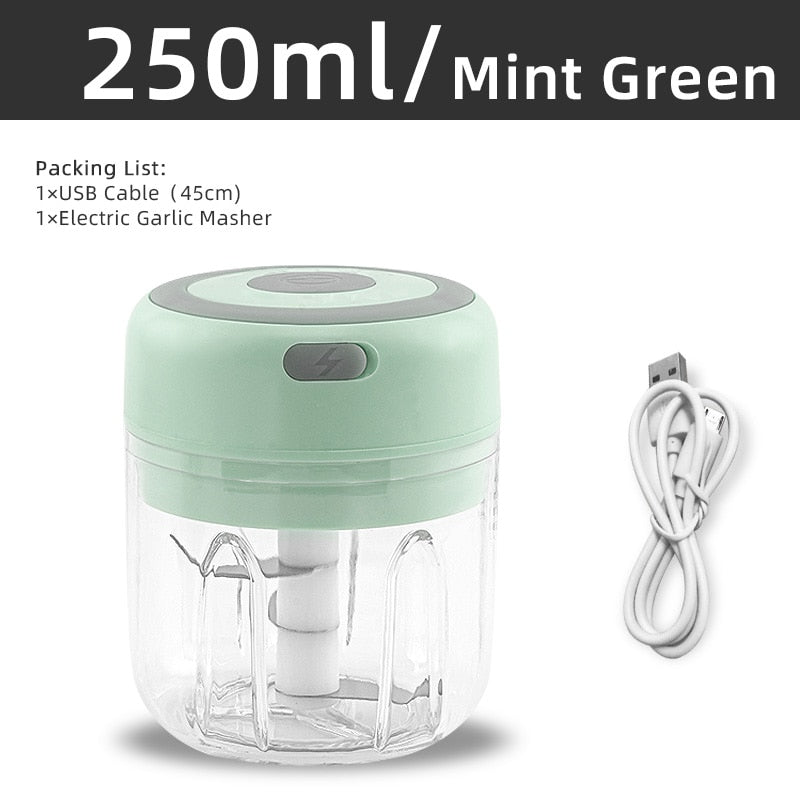 Mini Electric Garlic and Vegetable Chopper 250ml Mint Green