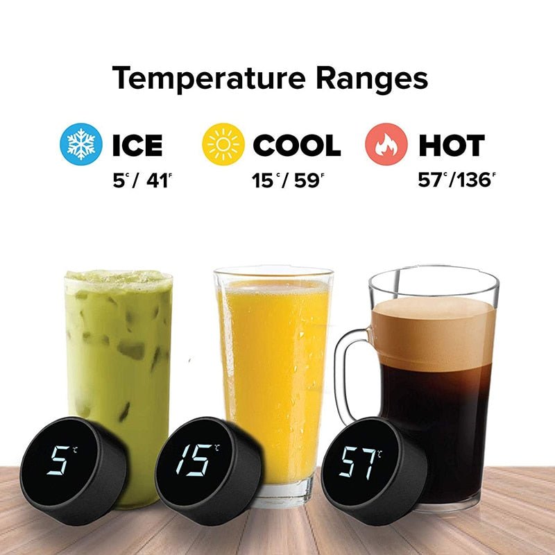 Smart Water Bottle with LED Temperature Display